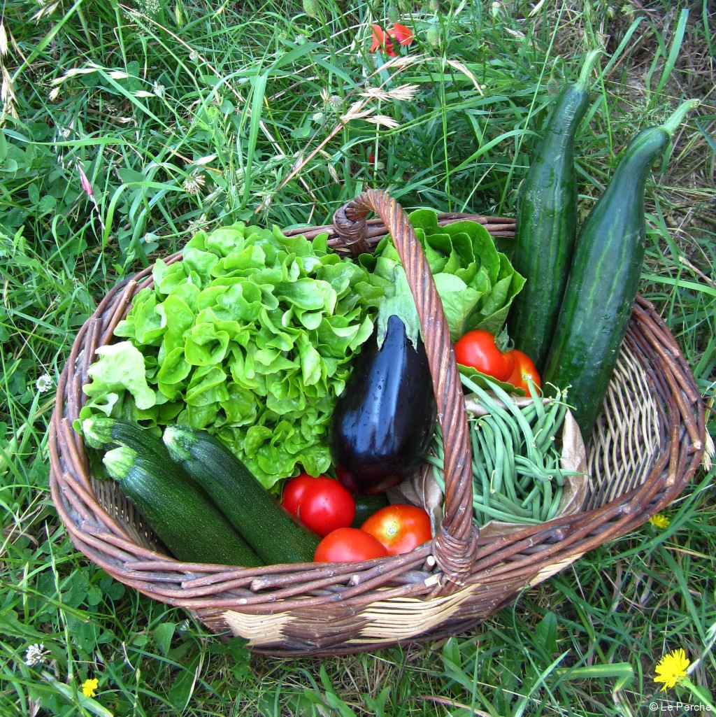 Devenir partenaire d'une ferme et faire le plein chaque semaine de produits locaux, bio et de saison, cela vous tente ?